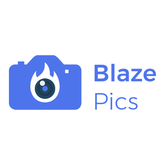 BlazePics + LinkPhoto