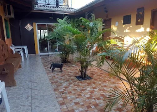 Garden & jackfruit tree